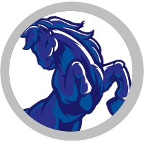 209 X 210 MP Logo Gray