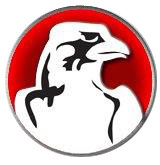 Northeast Falcons Logo Round Over 002